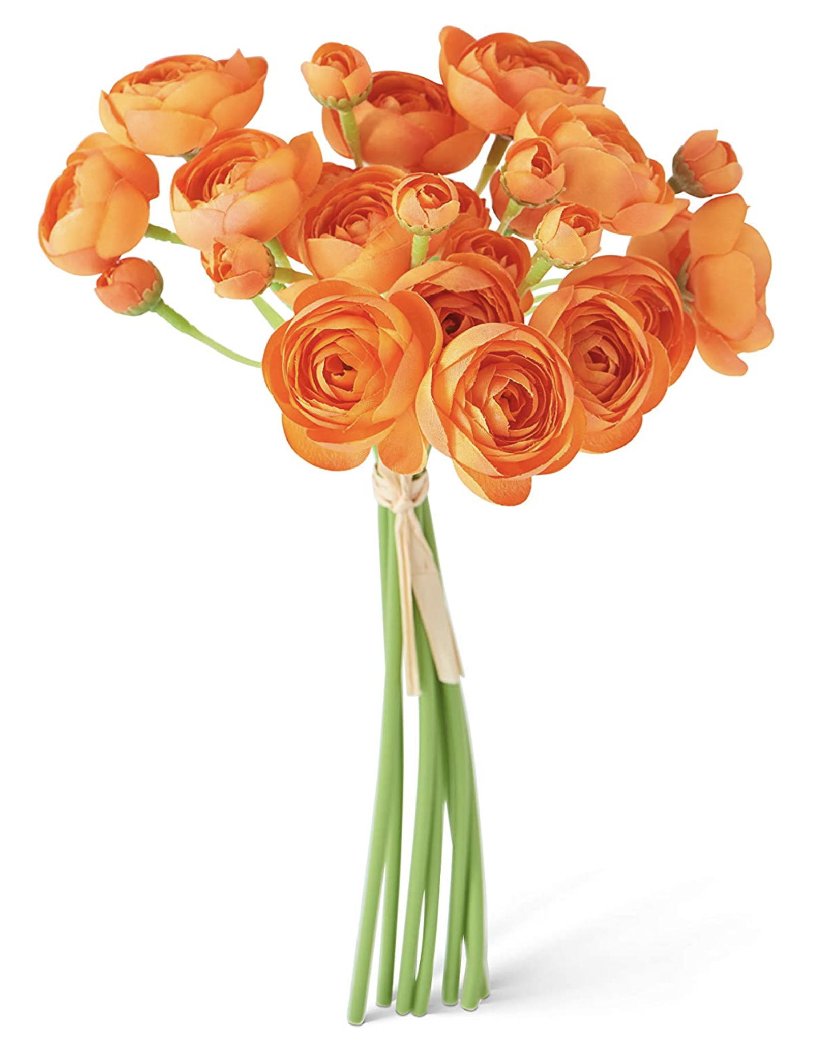 11inch ranunculus
